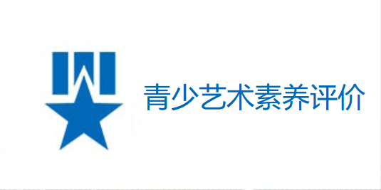 青少艺术素养评价查询